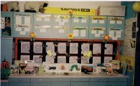 Insect Display Insect Display